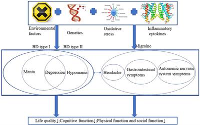 Comorbid Bipolar Disorder and Migraine: From Mechanisms to Treatment